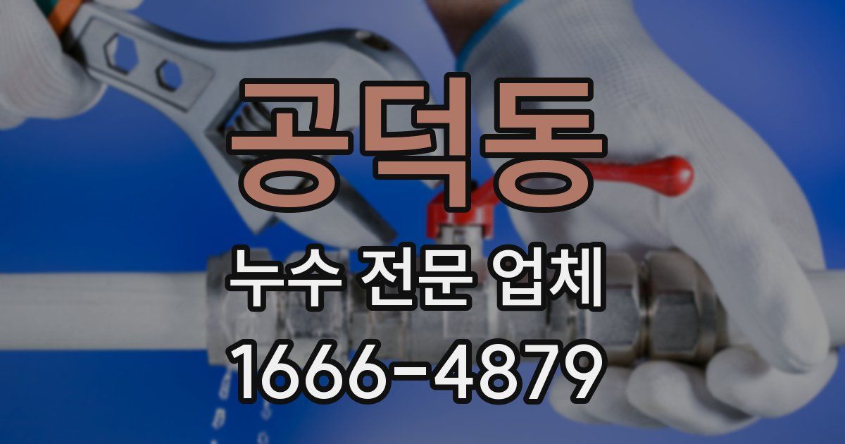 공덕동 누수 전문 업체