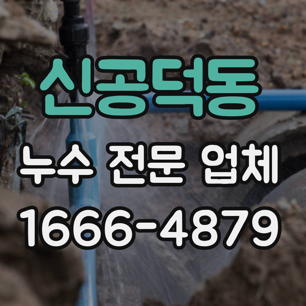 신공덕동 누수 전문 업체