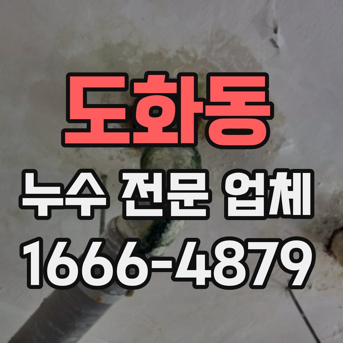 도화동 누수 전문 업체