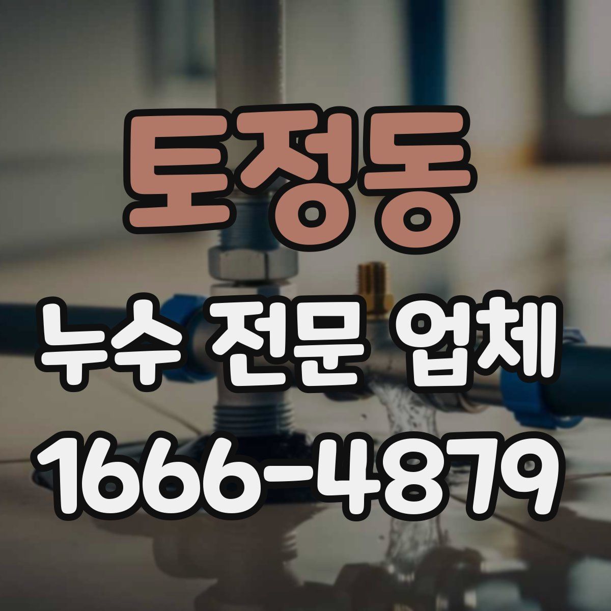 토정동 누수 전문 업체