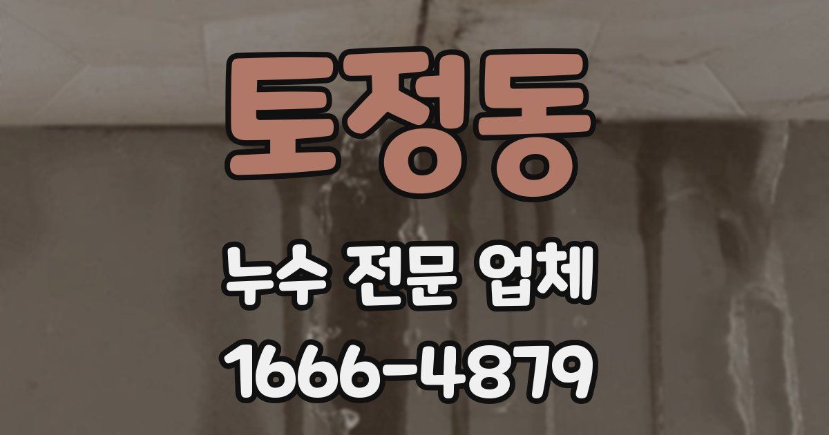 토정동 누수 전문 업체