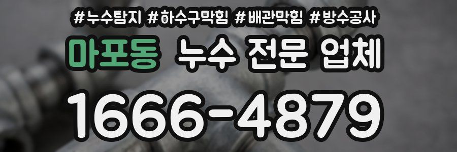 마포동 누수 전문 업체