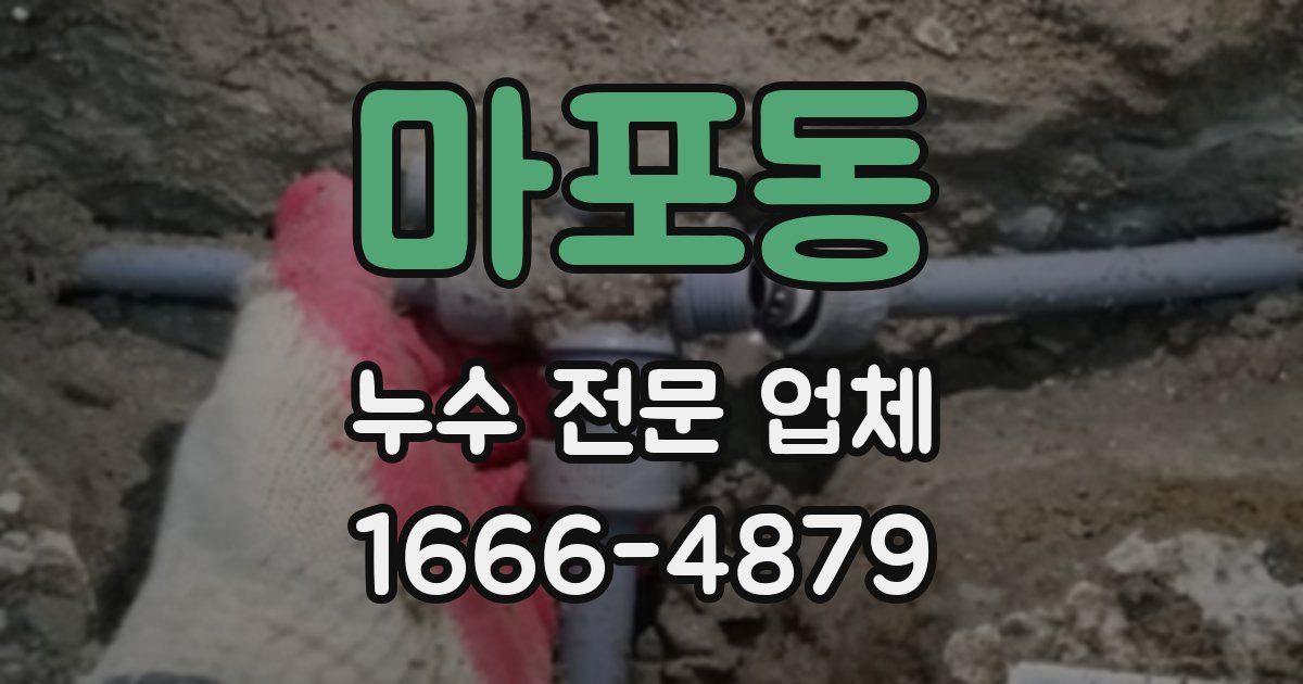 마포동 누수 전문 업체