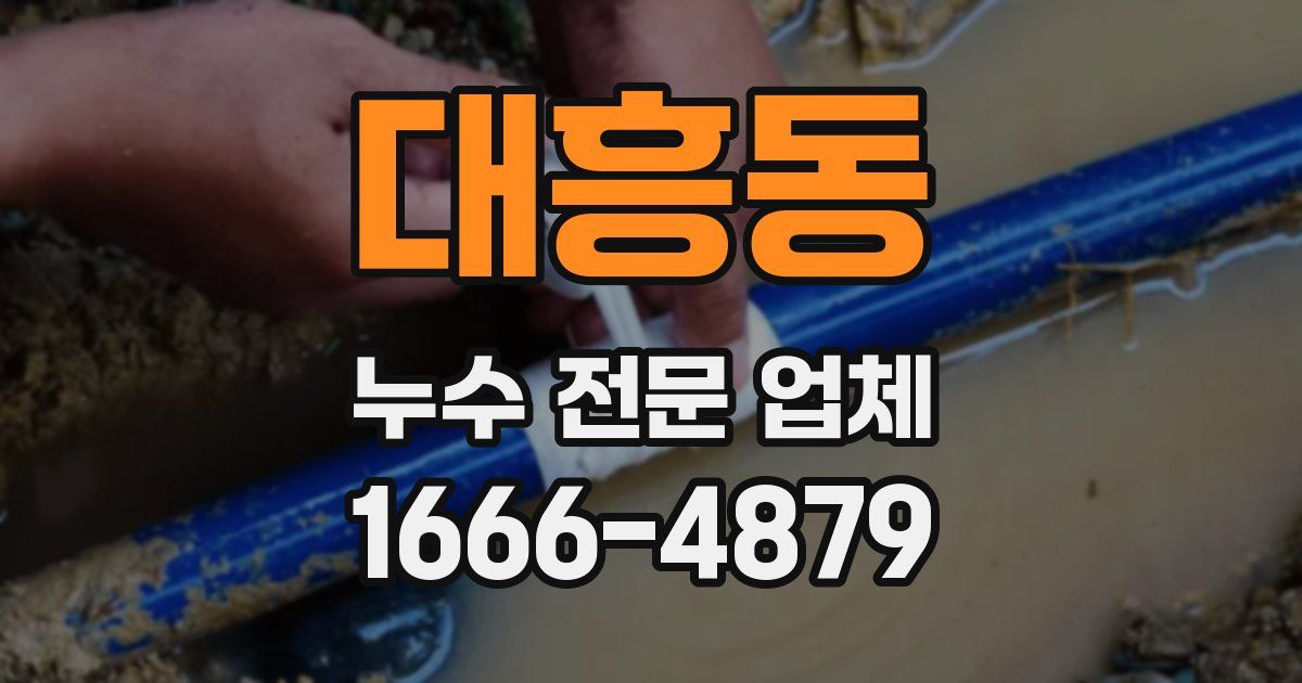 대흥동 누수 전문 업체
