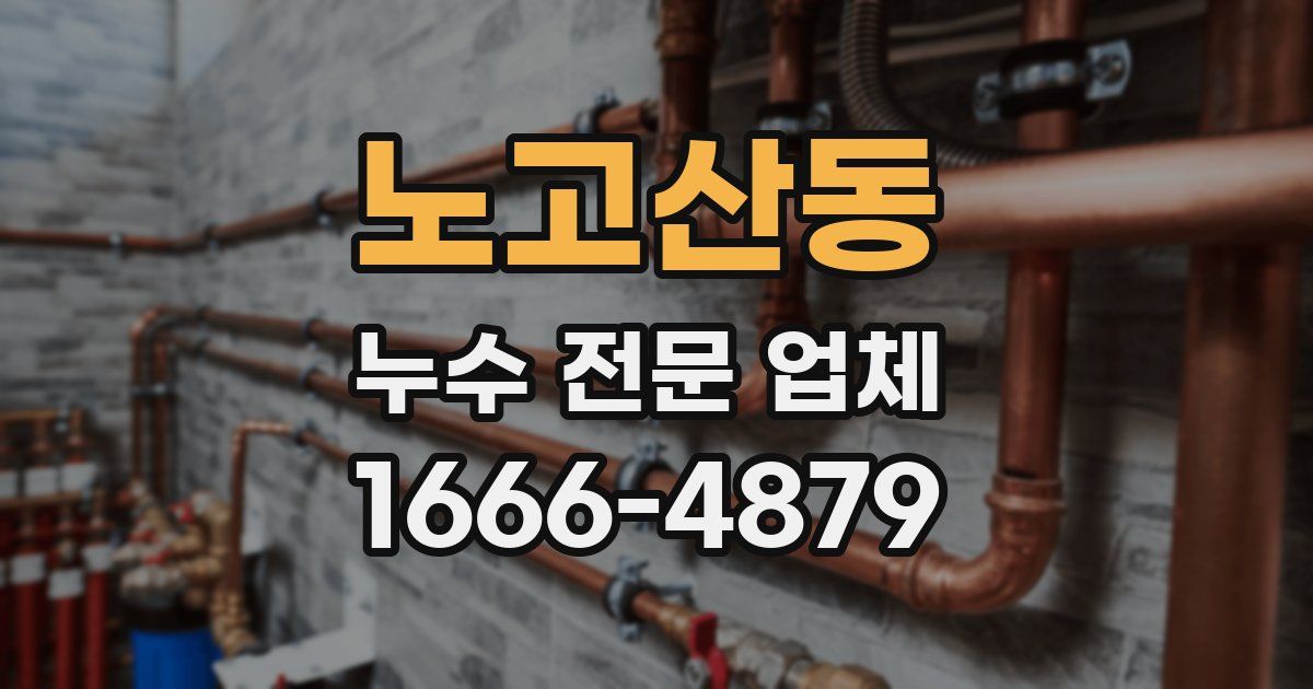 노고산동 누수 전문 업체