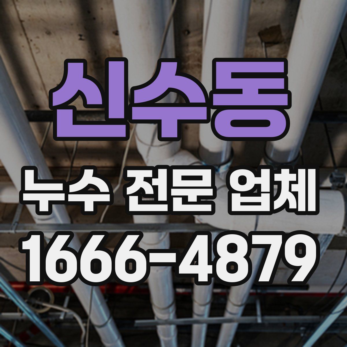 신수동 누수 전문 업체