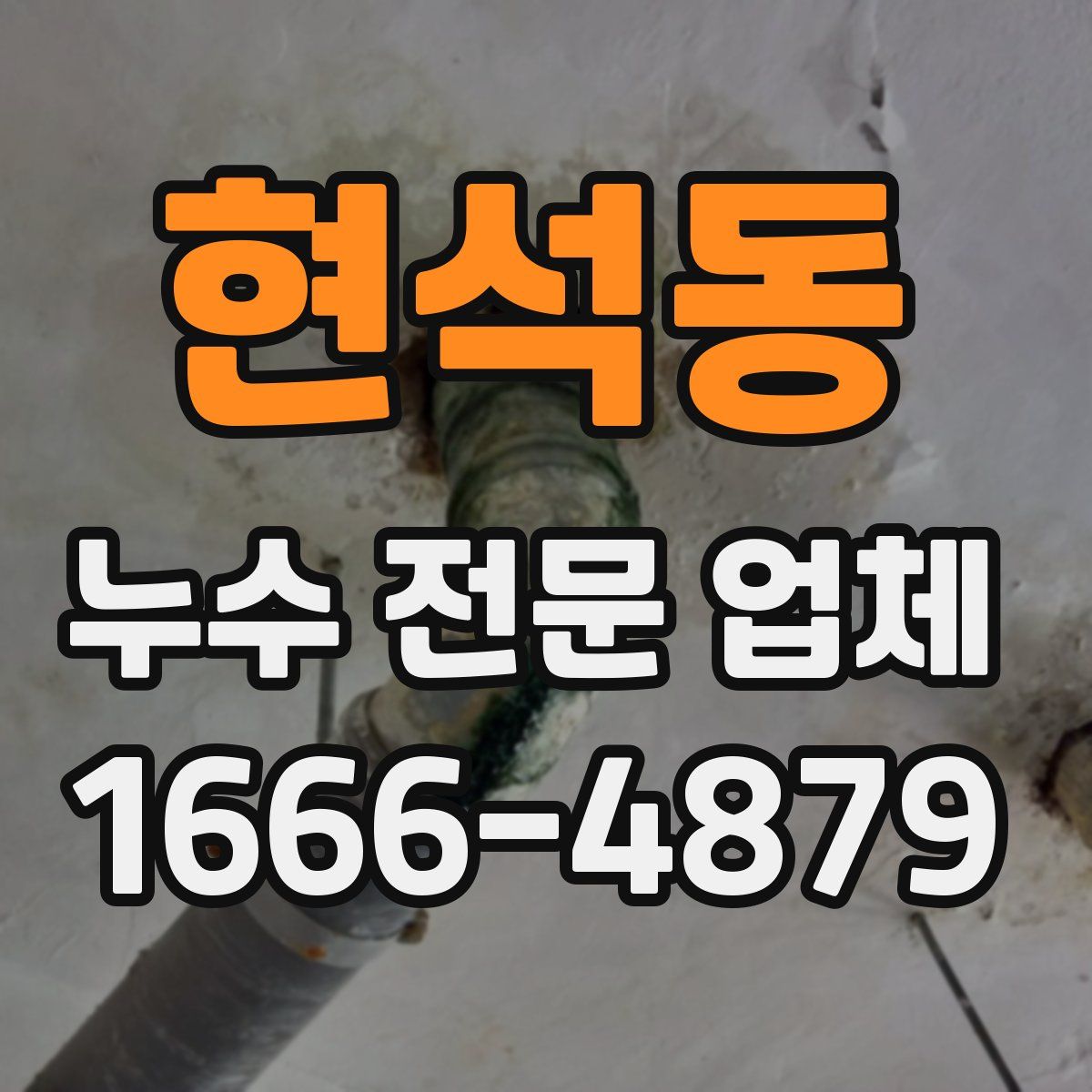 현석동 누수 전문 업체