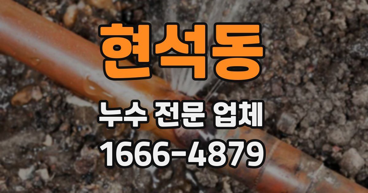현석동 누수 전문 업체