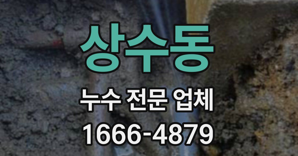 상수동 누수 전문 업체