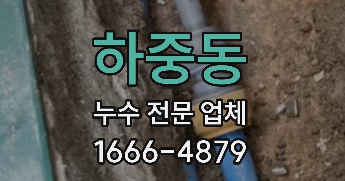 하중동 누수 전문 업체
