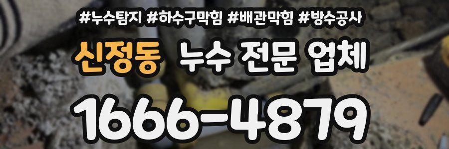 신정동 누수 전문 업체