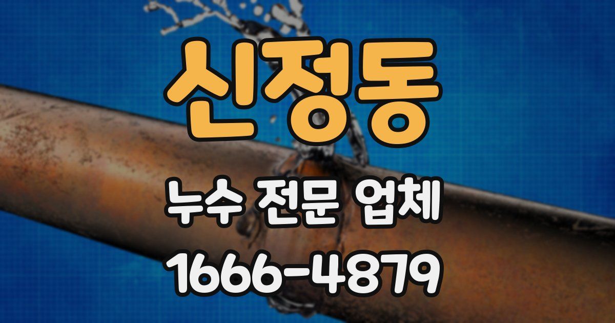 신정동 누수 전문 업체