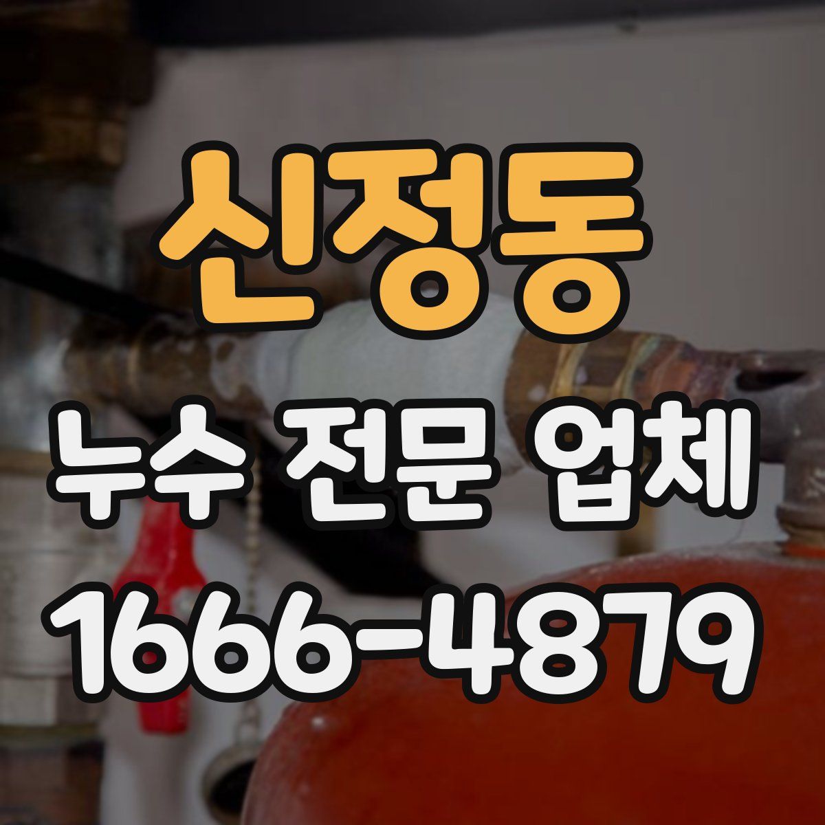 신정동 누수 전문 업체