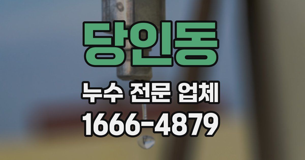 당인동 누수 전문 업체