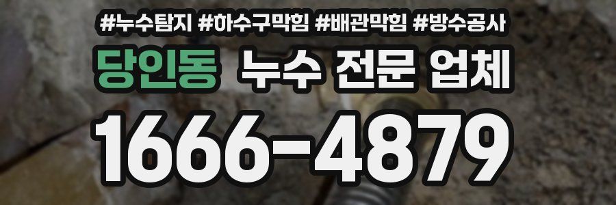 당인동 누수 전문 업체