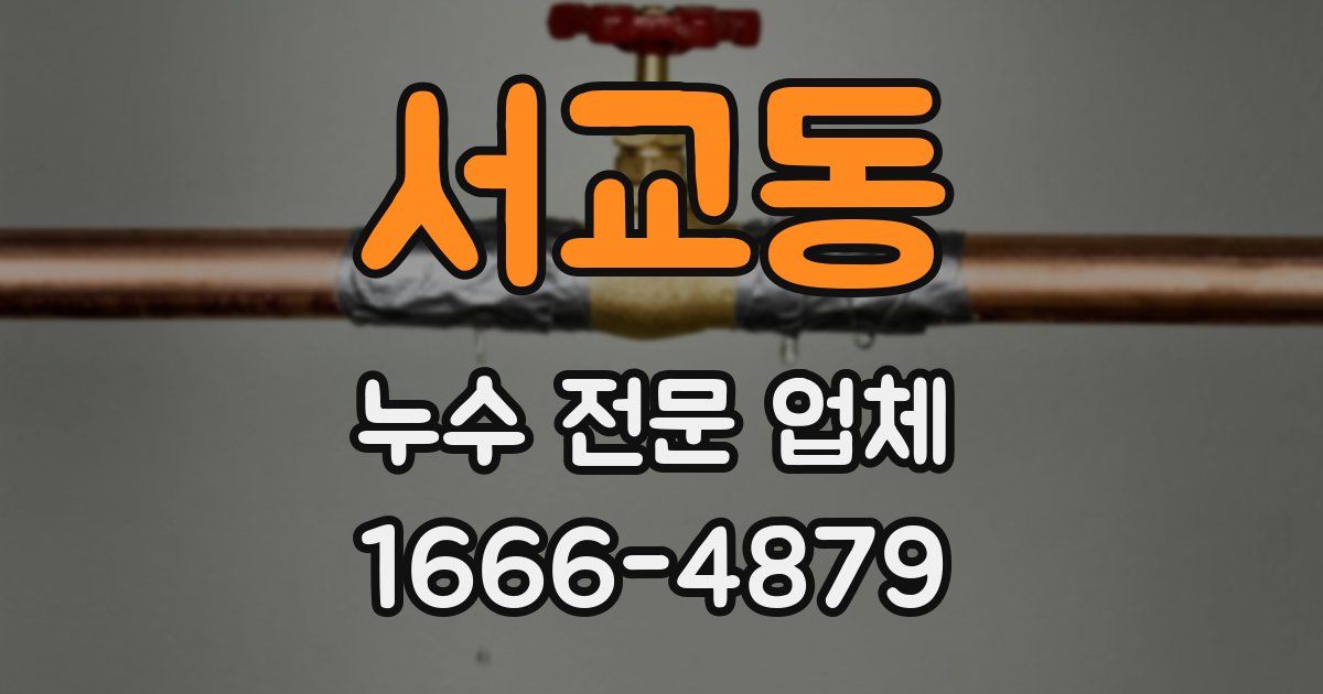 서교동 누수 전문 업체