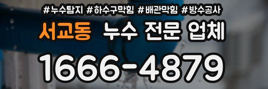 서교동 누수 전문 업체