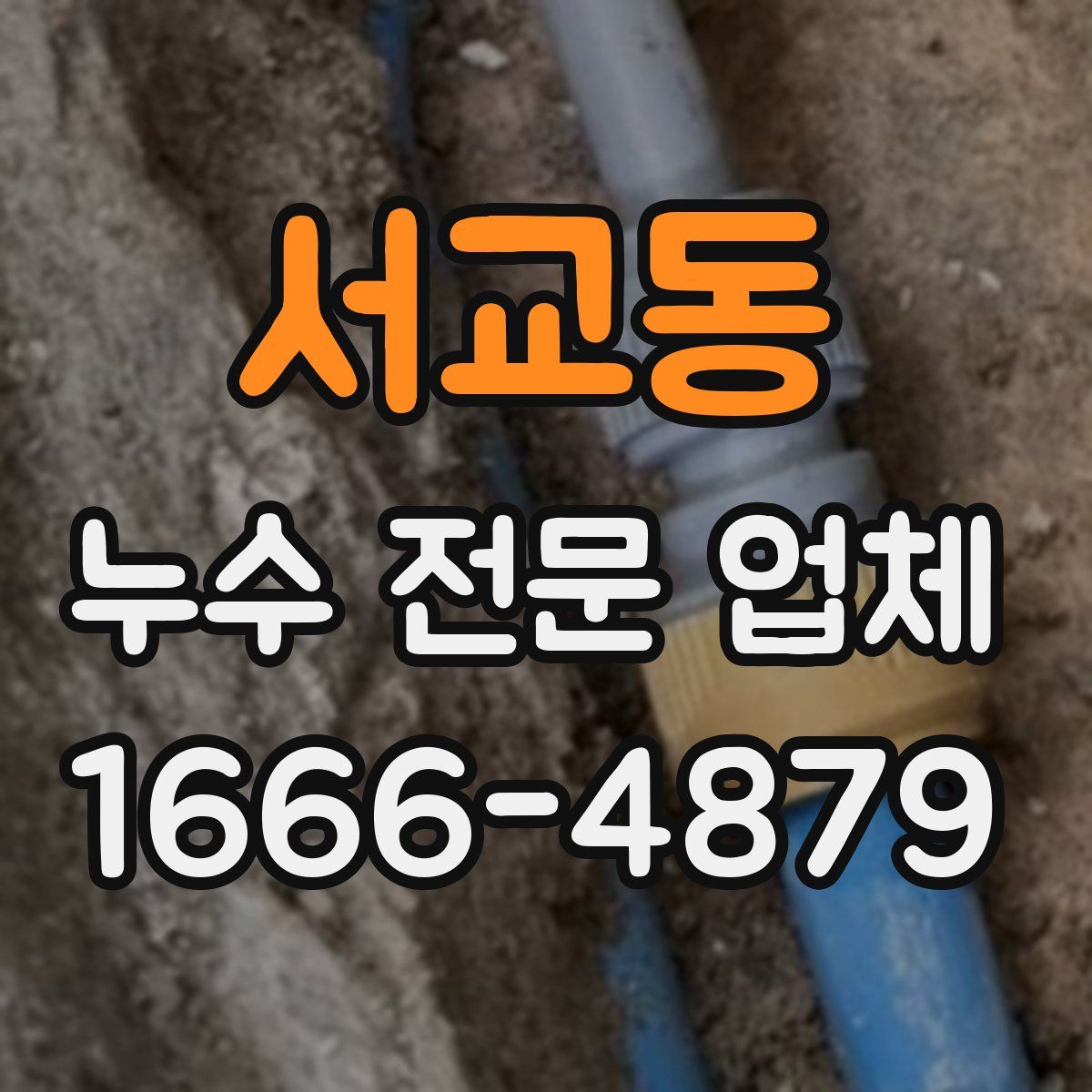 서교동 누수 전문 업체