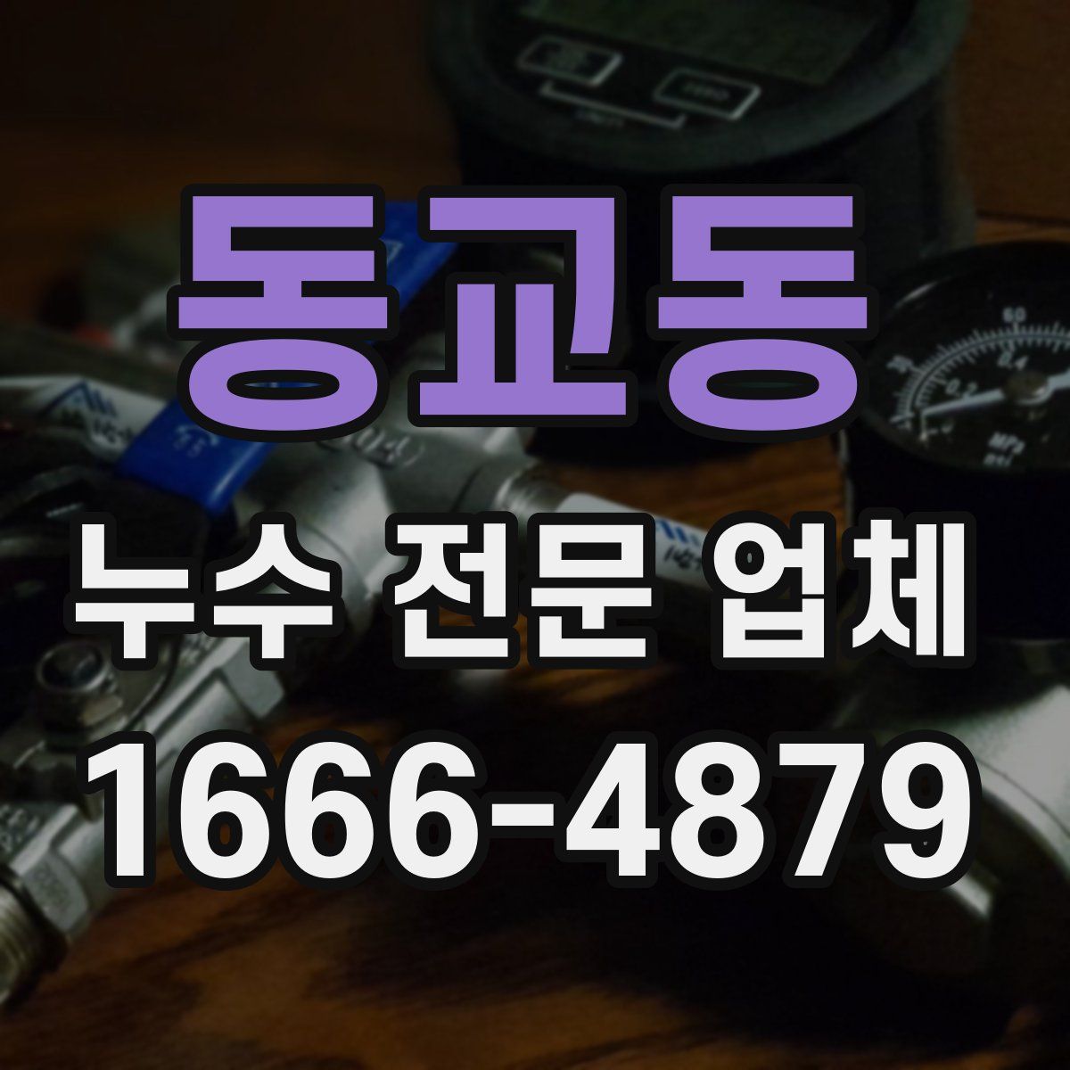 동교동 누수 전문 업체