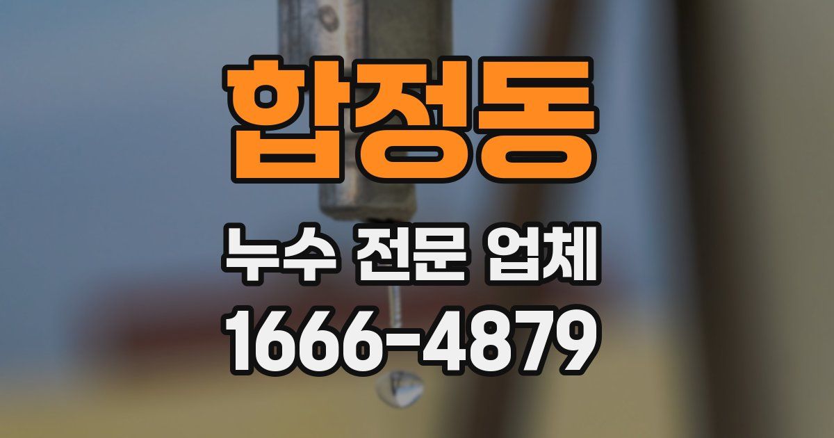 합정동 누수 전문 업체