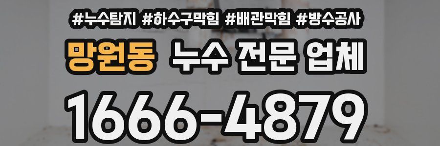 망원동 누수 전문 업체