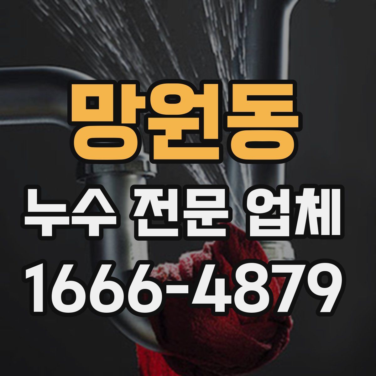 망원동 누수 전문 업체