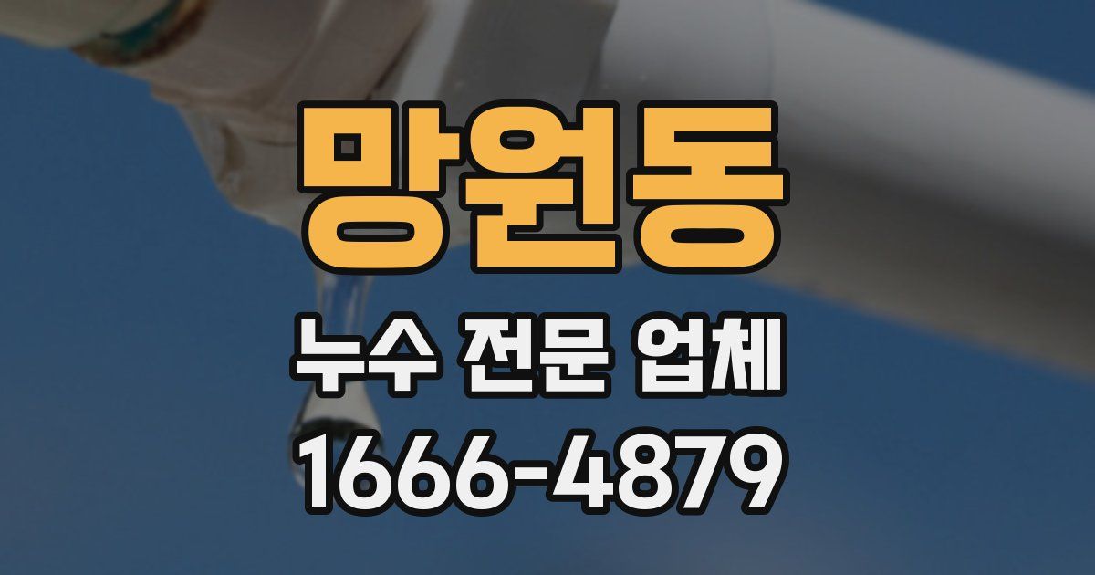 망원동 누수 전문 업체