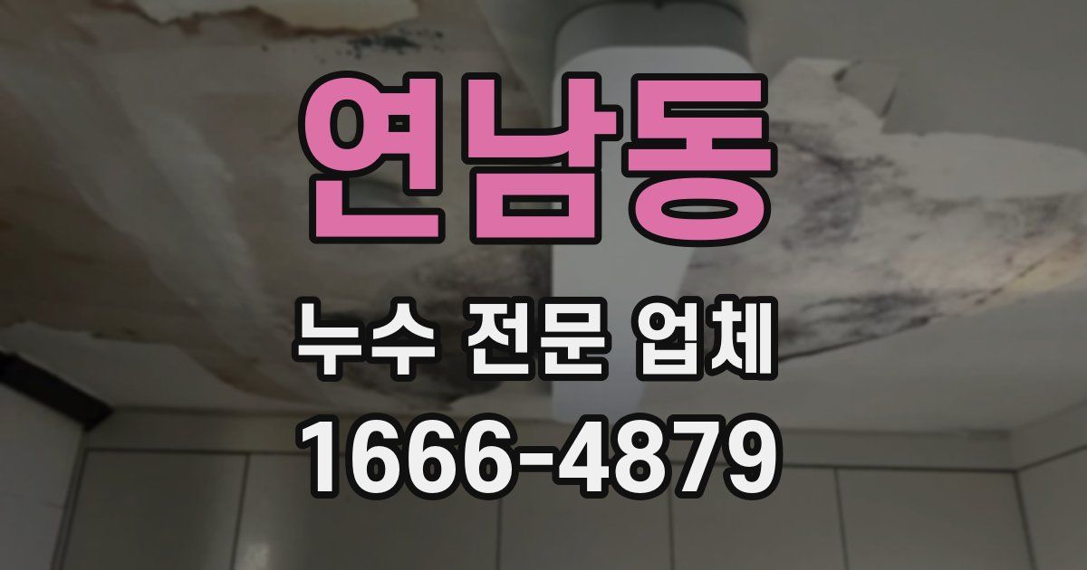 연남동 누수 전문 업체