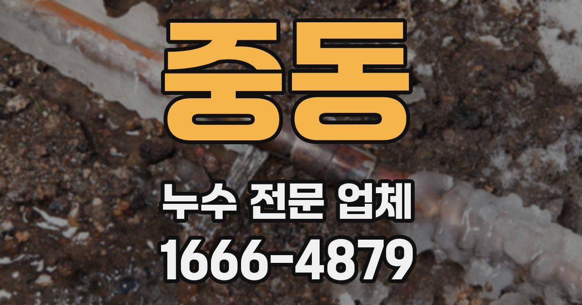 중동 누수 전문 업체