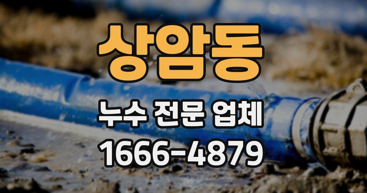 상암동 누수 전문 업체