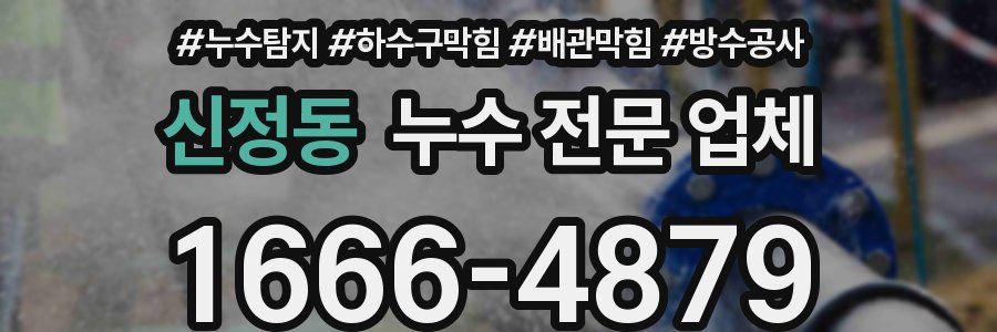 신정동 누수 전문 업체