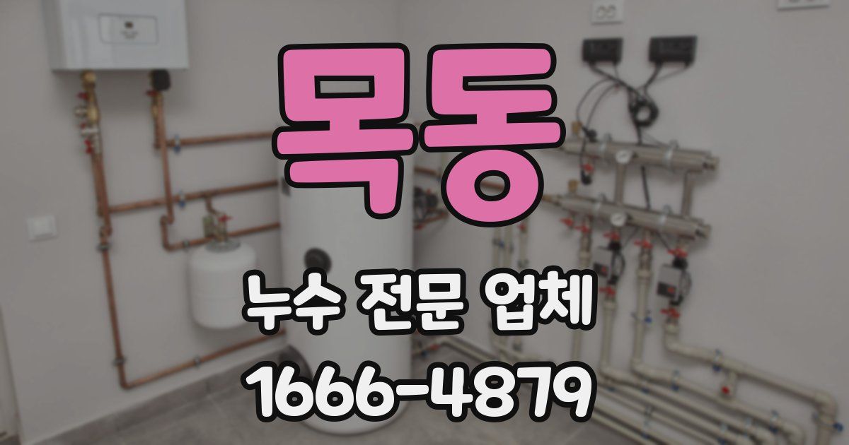 목동 누수 전문 업체