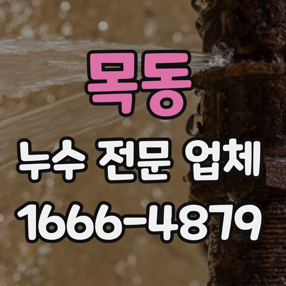 목동 누수 전문 업체