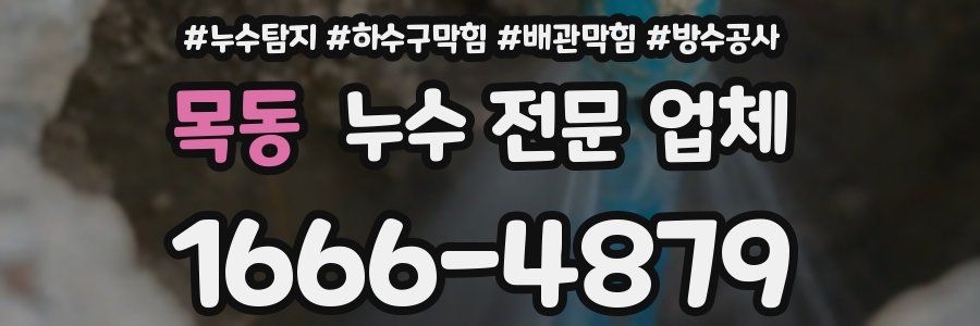 목동 누수 전문 업체