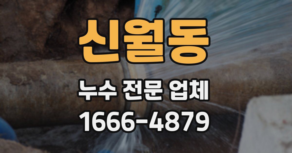 신월동 누수 전문 업체