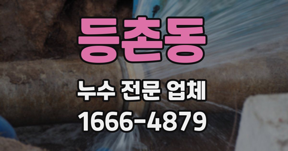 등촌동 누수 전문 업체