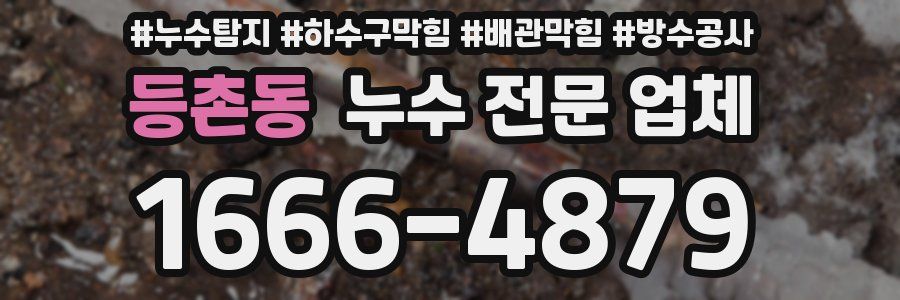 등촌동 누수 전문 업체