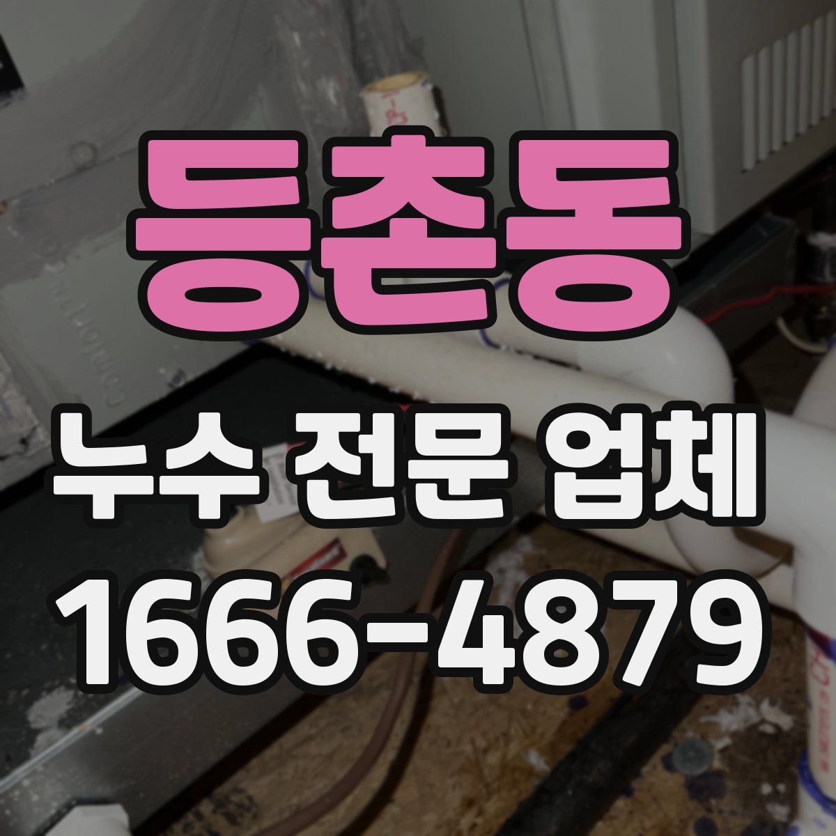 등촌동 누수 전문 업체