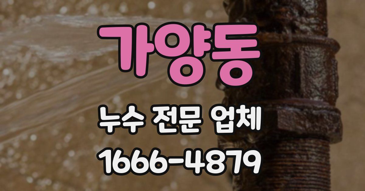 가양동 누수 전문 업체
