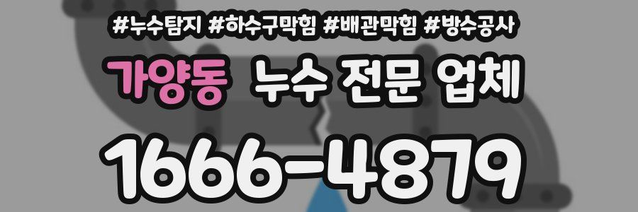 가양동 누수 전문 업체