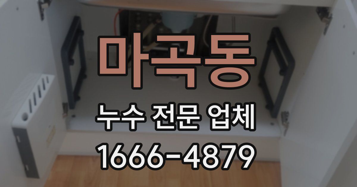 마곡동 누수 전문 업체