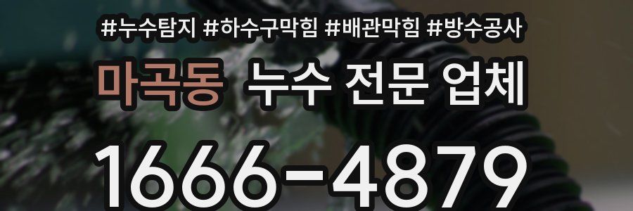 마곡동 누수 전문 업체
