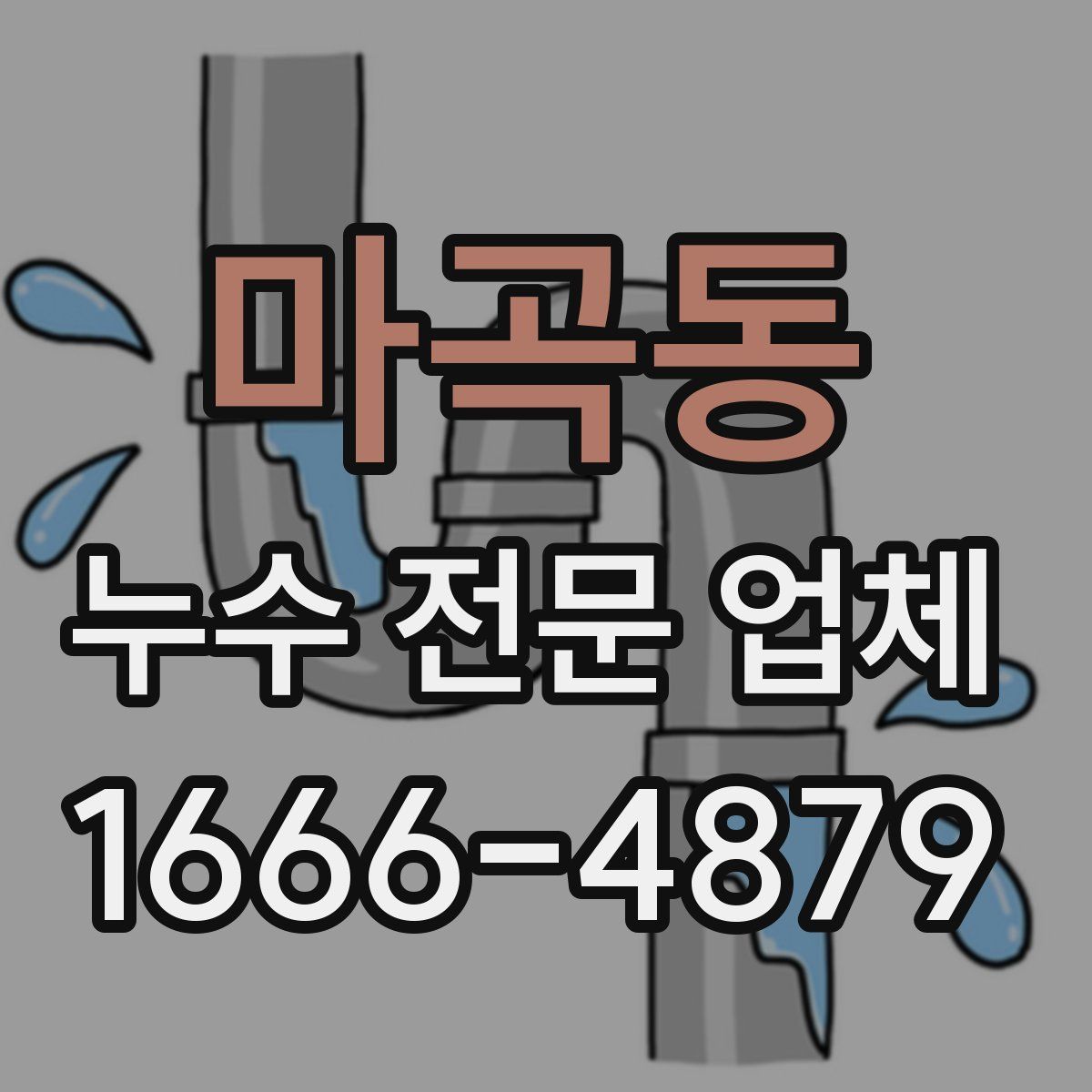 마곡동 누수 전문 업체