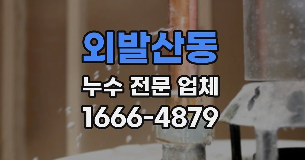 외발산동 누수 전문 업체