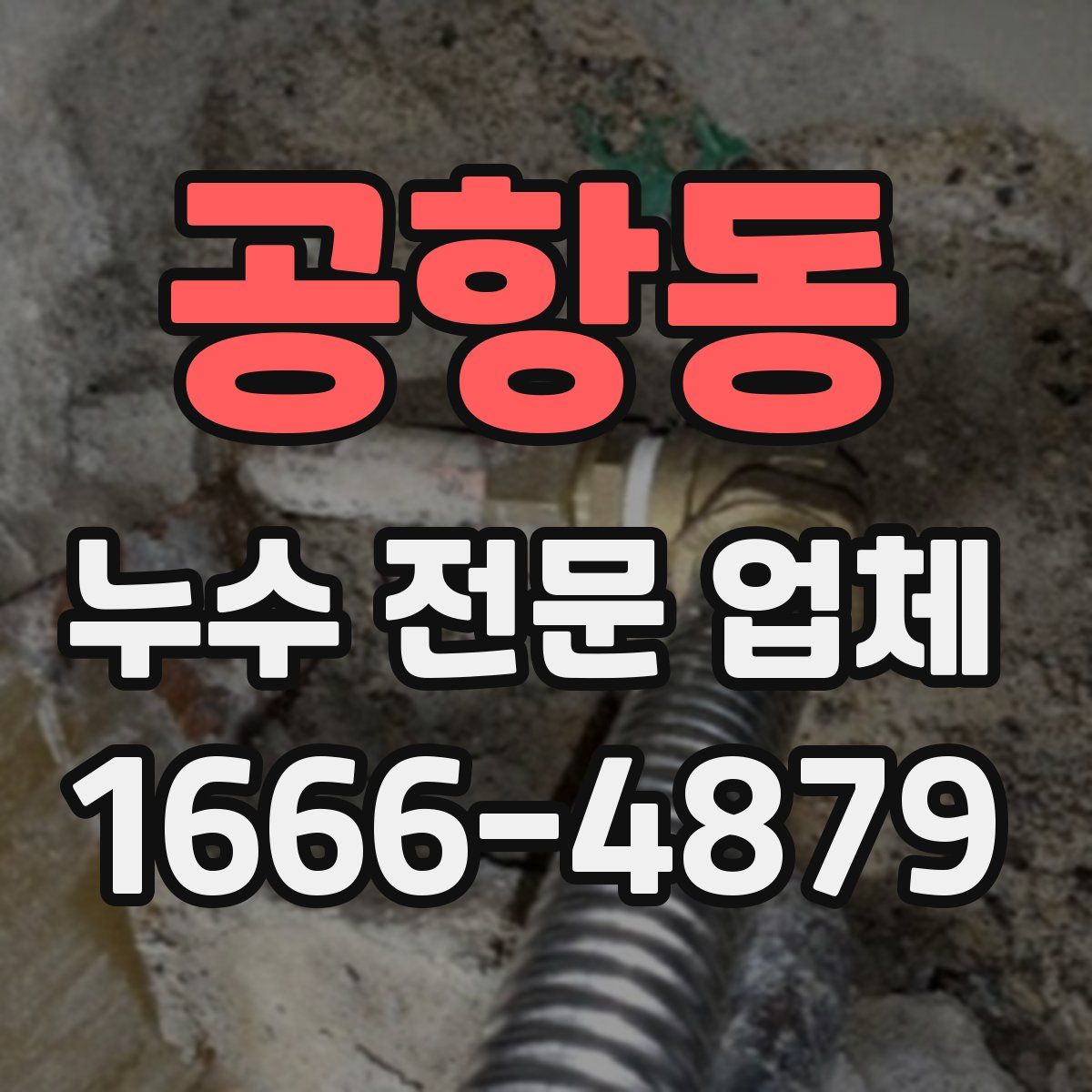 공항동 누수 전문 업체