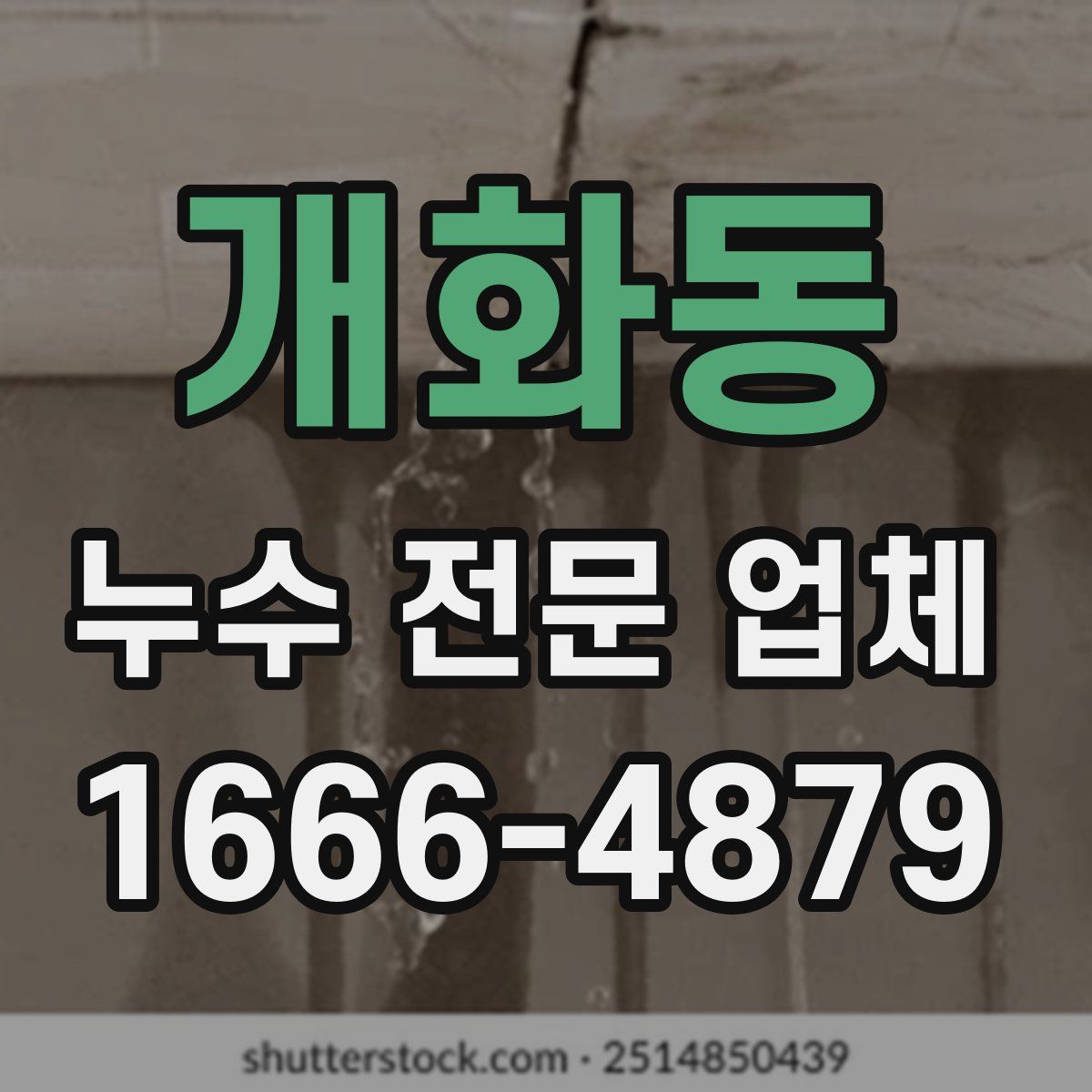 개화동 누수 전문 업체