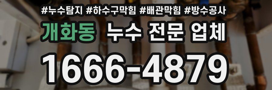 개화동 누수 전문 업체