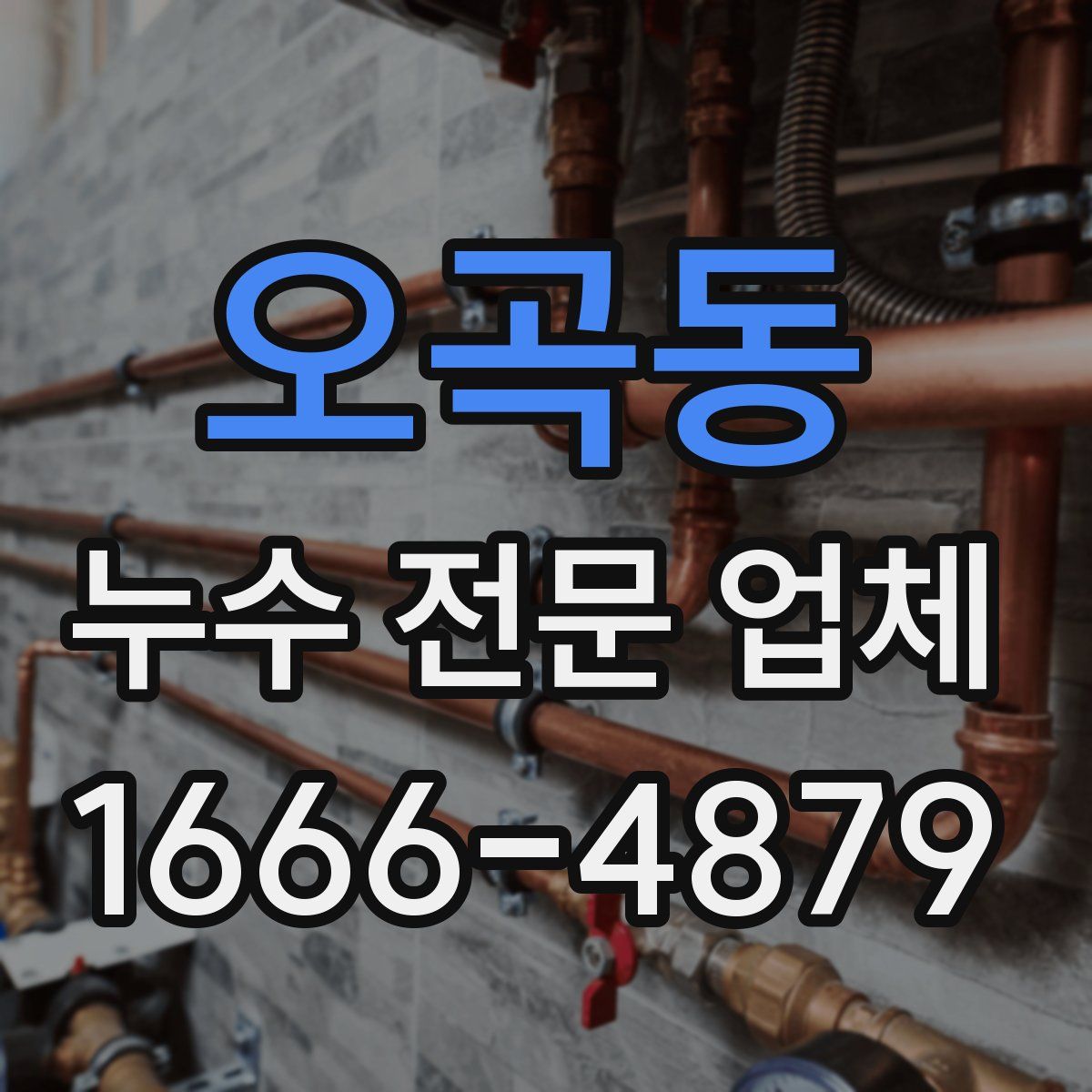 오곡동 누수 전문 업체