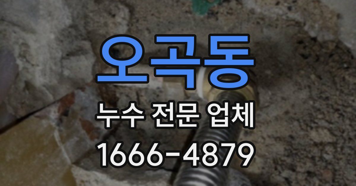 오곡동 누수 전문 업체