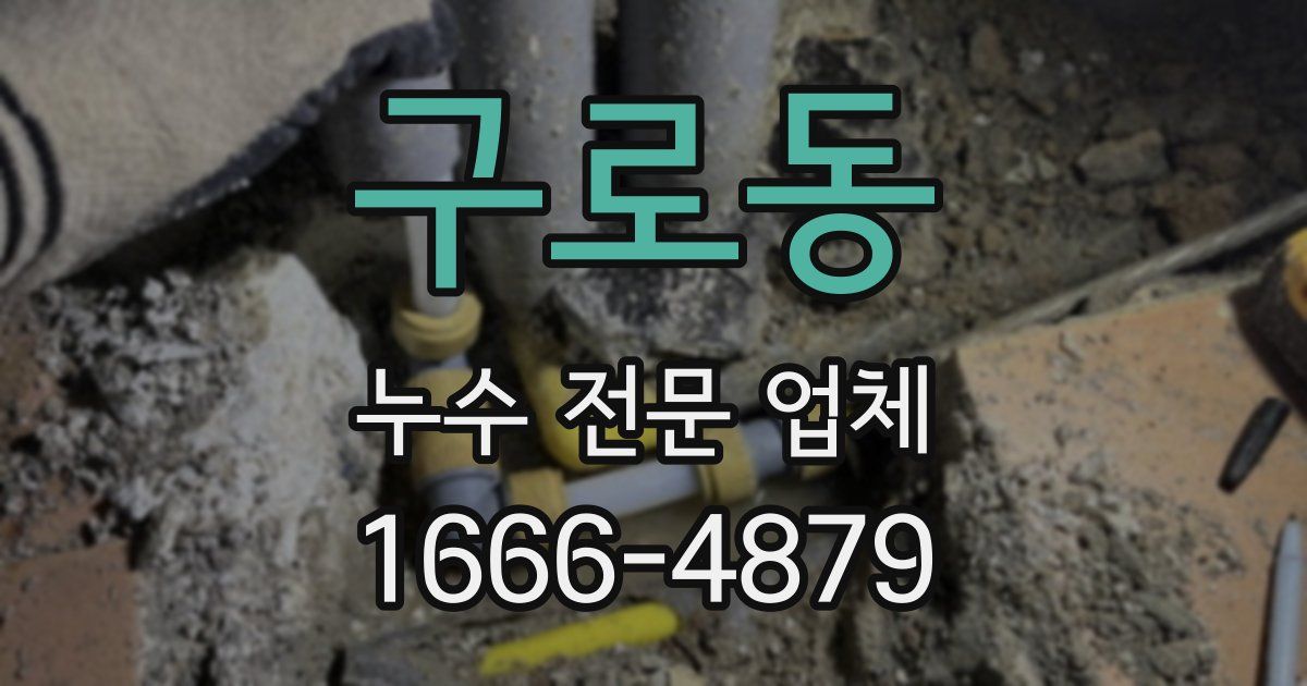 구로동 누수 전문 업체